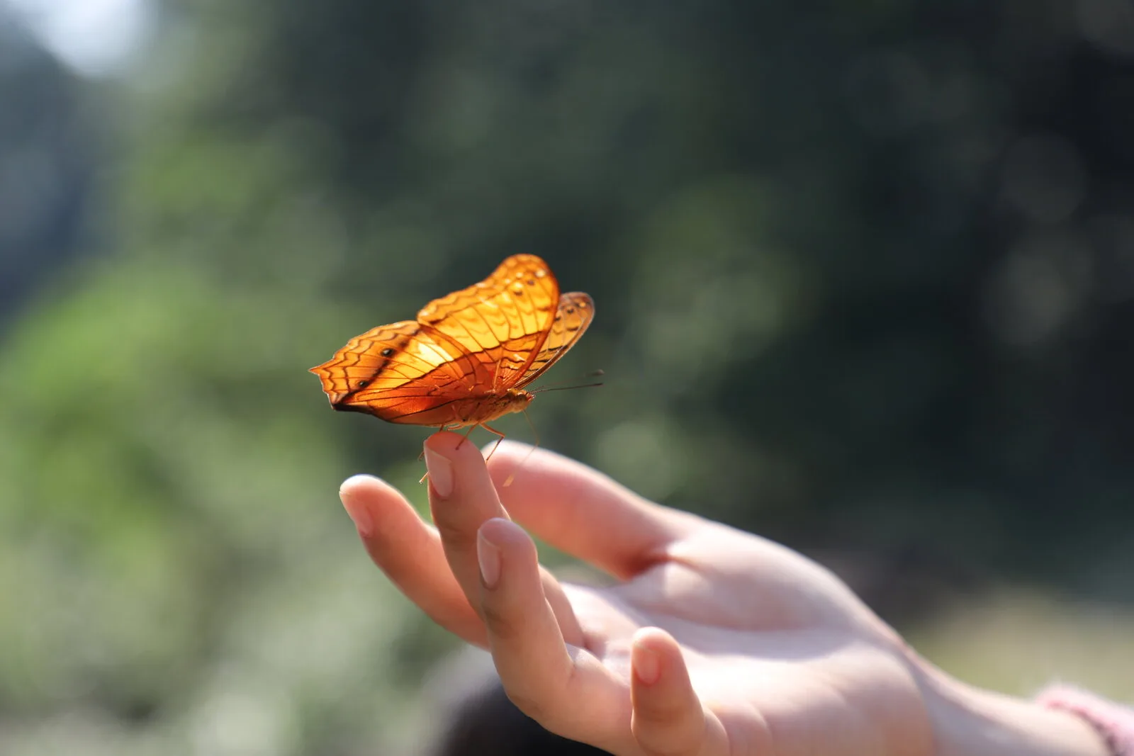 Năm không gian, một sứ mệnh
