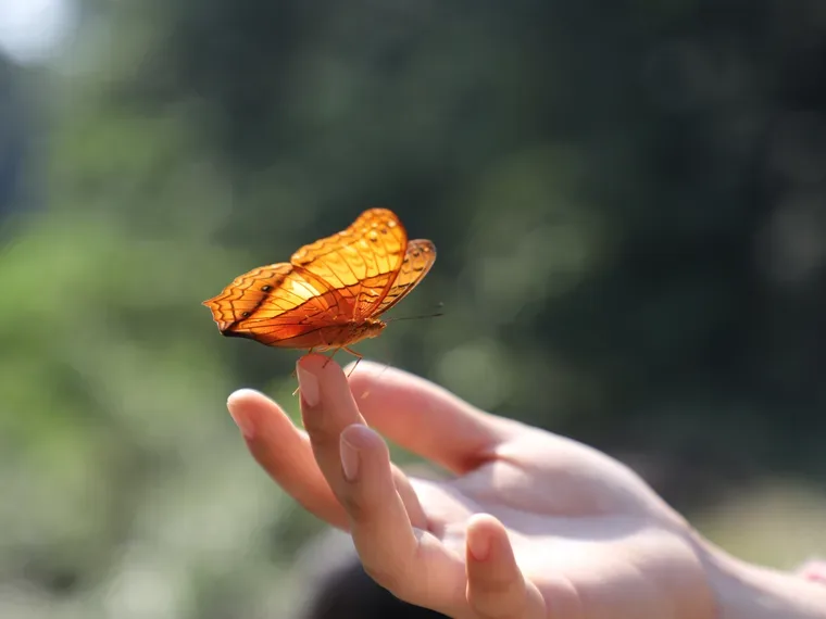Chủ đề ưu tiên