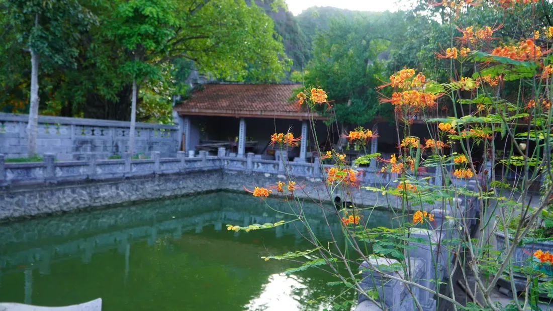 Thực địa tại Làng Xanh Farm