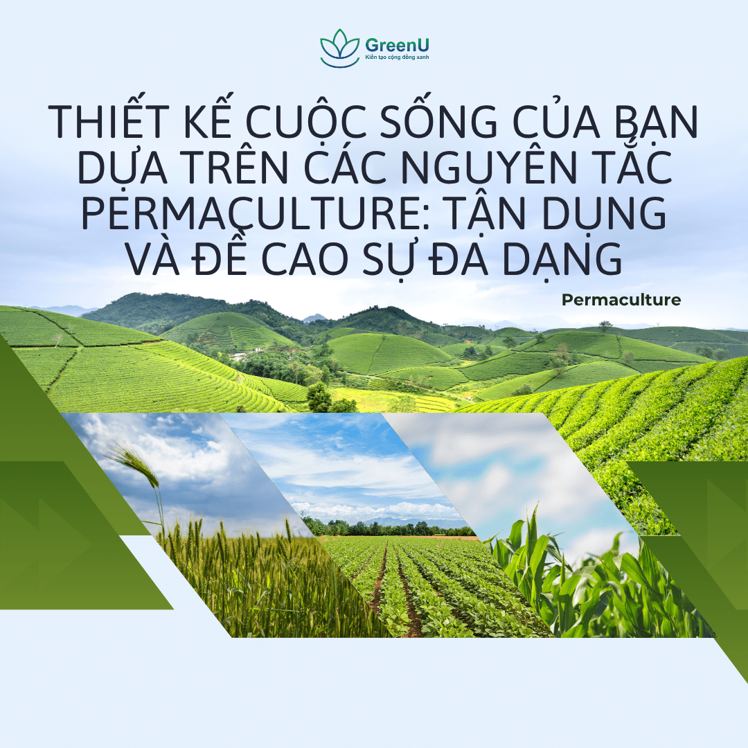 Thiết kế cuộc sống của bạn dựa trên các nguyên tắc Permaculture: Tận dụng và đề cao sự đa dạng