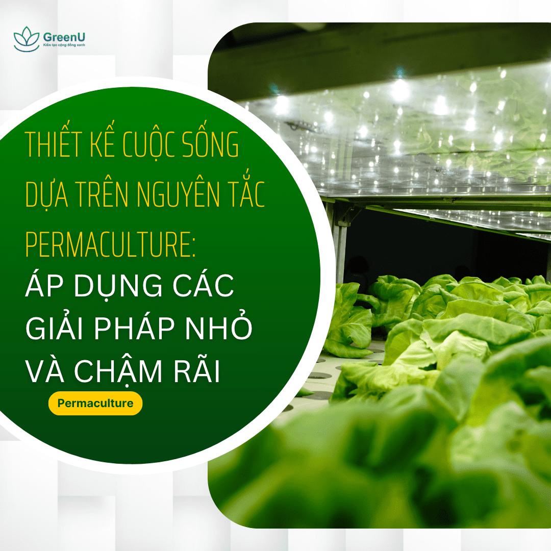 Thiết kế cuộc sống dựa trên nguyên tắc Permaculture: Áp dụng các giải pháp nhỏ và chậm rãi