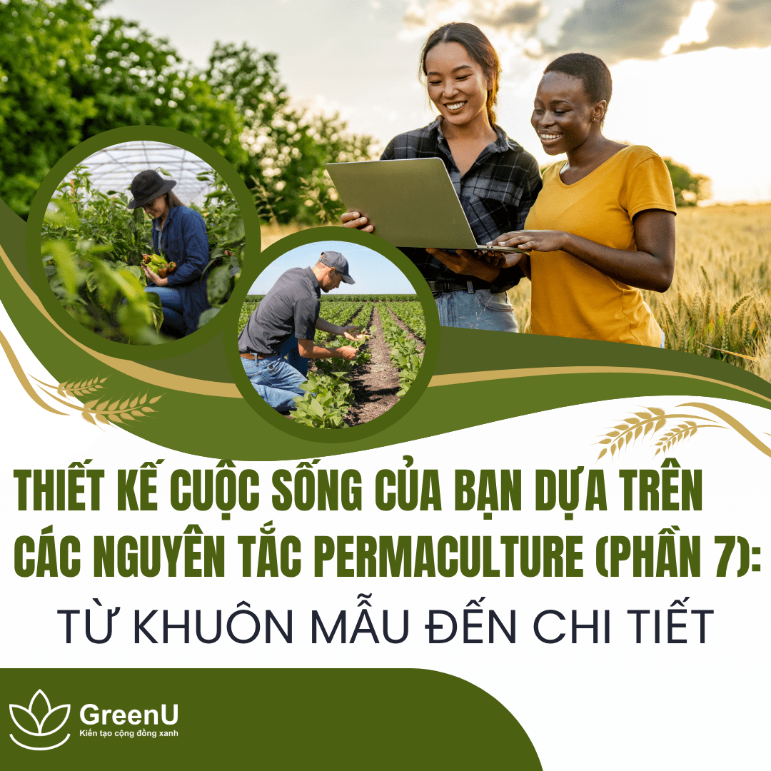 Thiết kế cuộc sống của bạn dựa trên các nguyên tắc Permaculture (Phần 7): Từ khuôn mẫu đến chi tiết