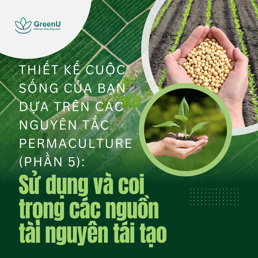 Thiết kế cuộc sống của bạn dựa trên các nguyên tắc Permaculture (Phần 5): Sử dụng và coi trọng các nguồn tài nguyên tái tạo