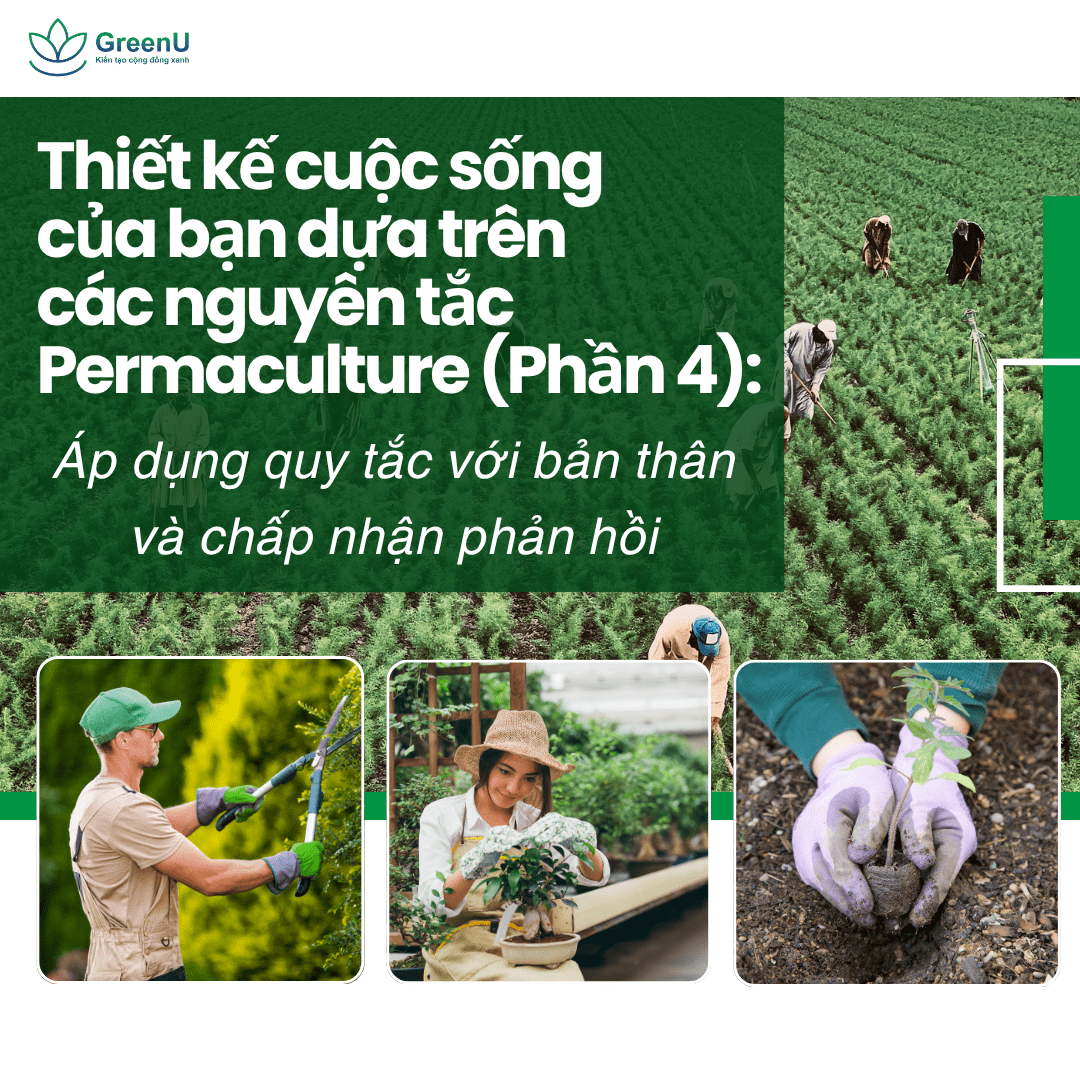 Thiết kế cuộc sống của bạn dựa trên các nguyên tắc Permaculture (Phần 4): Áp dụng quy tắc với bản thân và chấp nhận phản hồi