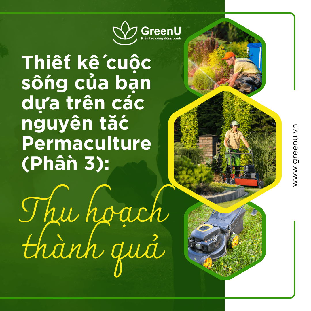 Thiết kế cuộc sống của bạn dựa trên các nguyên tắc Permaculture (Phần 3): Thu hoạch thành quả